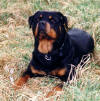 anouk_vom_tegler_fliess