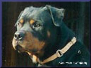astor_v_pfaffenberg