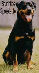 brunhilde_spreeteufel