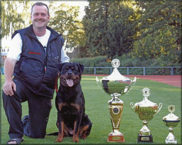 diva_von_der_konigskanzel