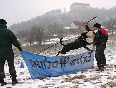 enrico_vom_hause_neubrand_II