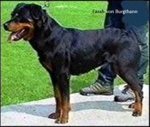 farah_von_burgthann