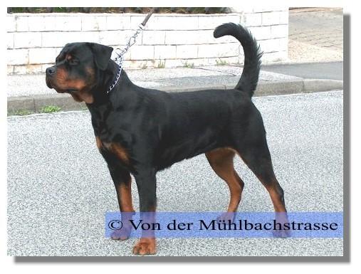 gunda_von_den_hassberghohen