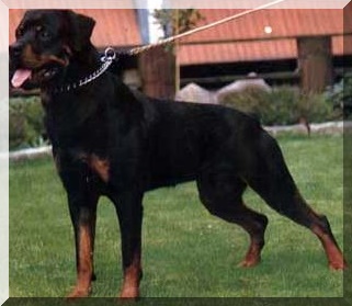 hero_von_hohegeiss