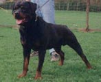 huck_von_burgthann