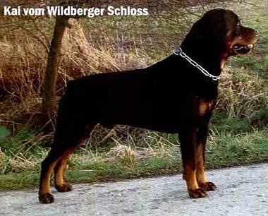 kai_vom_wildberger_schloss