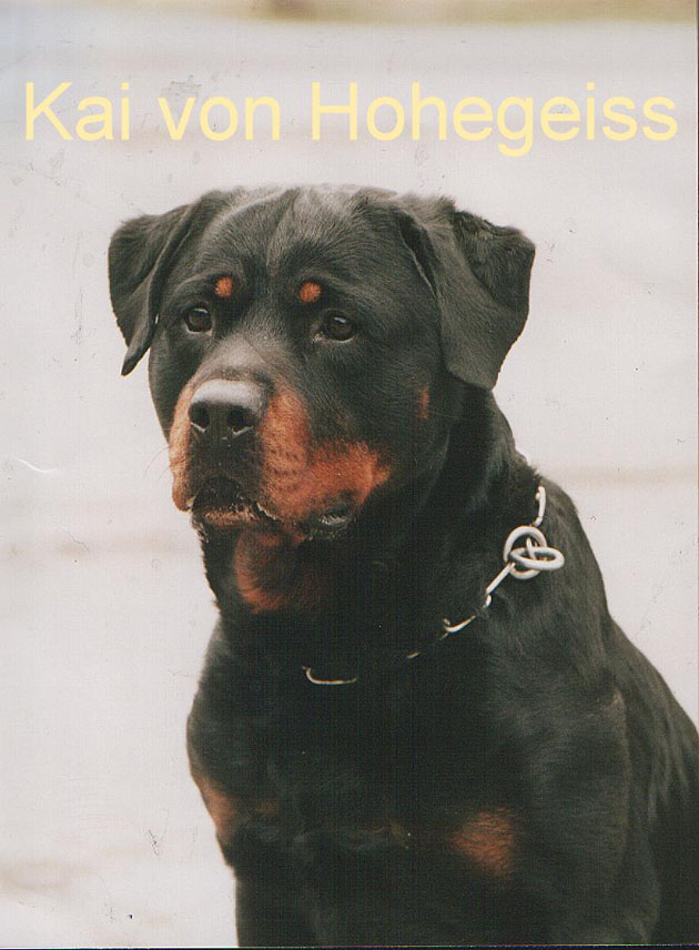 kai_von_hohegeiss