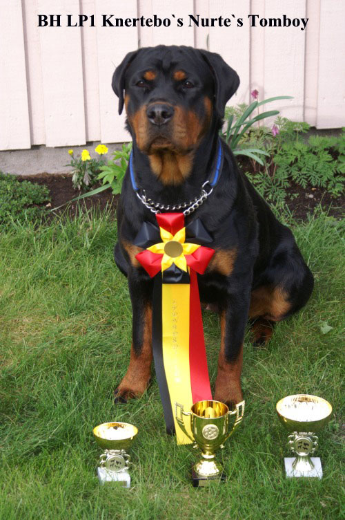 knertebos_nurtes_tomboy