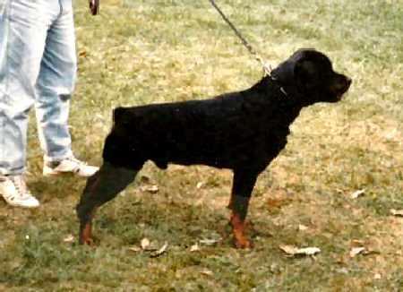 lord_vom_hegenbacher_landl