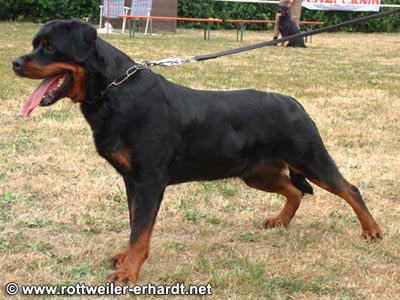 lucie_von_der_scherau