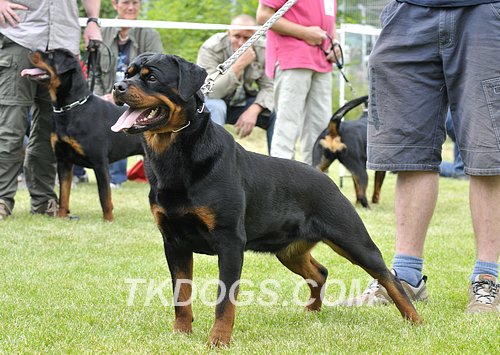 patia_vom_kummelsee