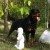 Chicco Vom Kressbach 03